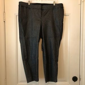 “The Allie” dress pant by Lane Bryant